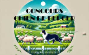 photo Concours de chiens de bergers
