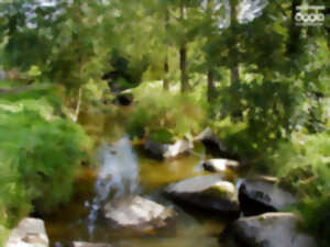photo Balade en bords de Sèvre