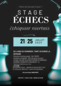 photo Stage échecs à Niort