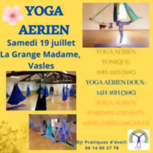 photo Journée Yoga aérien