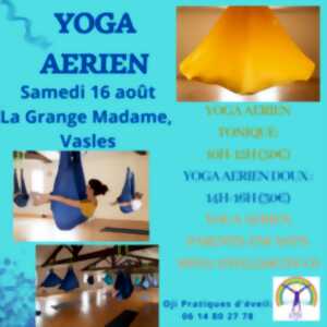 photo Journée Yoga aérien