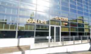 photo Exposition - Galerie municipale (Limoges)