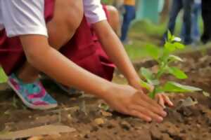 photo Ateliers | Stage des Savants Fous sur la biodiversité