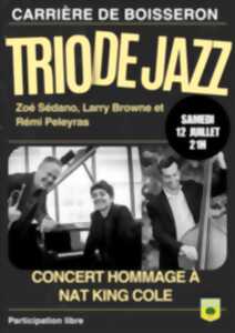 photo TRIO JAZZ À LA CARRIÈRE DE BOISSERON: TRIBUTE TO NAT KING COLE