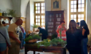 photo LES ATELIERS DES PLANTES MÉDICINALES DE PALMIRA