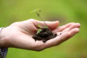 photo Troc aux plantes