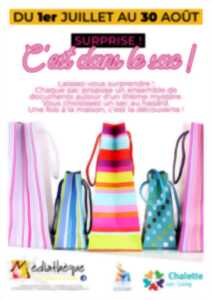 photo Surprise : C’est dans le sac !