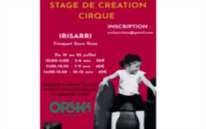 photo Stage de cirque
