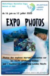 photo Expo photos de récifs sous-marins