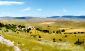photo BALADE GUIDÉE : IMMERSION SUR LE CAUSSE MÉJEAN, SUR LES TRACES DE SON HISTOIRE