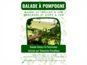 photo Balade Nature