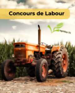 photo CONCOURS DE LABOUR