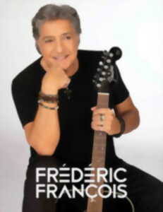 photo Concert - Frédéric François