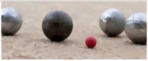 photo Concours de pétanque
