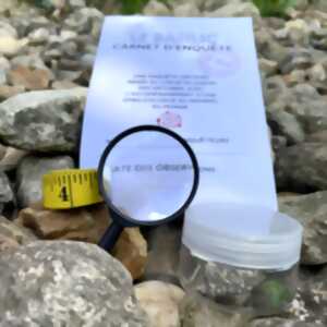 photo Labo des contes : Créatures à la loupe