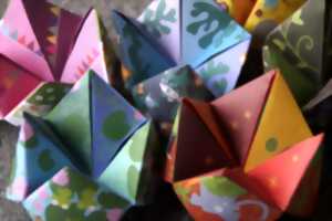 photo ANIMATION ORIGAMI ET BOTANIQUE