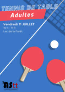 photo Pratique ludique du Tennis de table