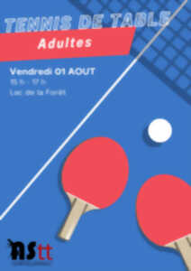 photo Pratique ludique du Tennis de table