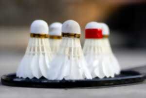 photo Les Lundis de Cap 33 : Tournois Badminton