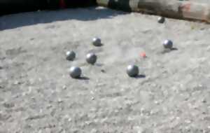 photo Concours de pétanque