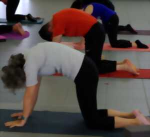 photo Découverte gratuite du Pilates