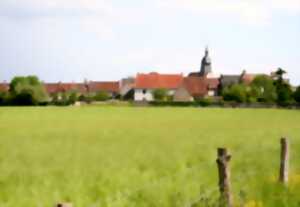 photo Peindre le confluent