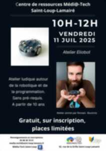 photo Atelier ludique autour de la robotique et la programmation
