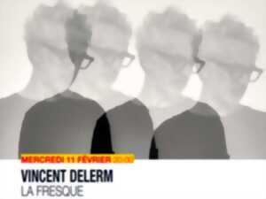 photo Concert Vincent Delerm