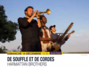 photo Concert De souffle et de cordes