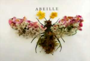 photo Animation Nature - Art et Nature - Limoges