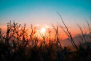 photo LEVÉ DU SOLEIL AVEC CONTES ET VIOLONCELLE