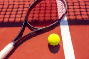 photo STAGES DE TENNIS