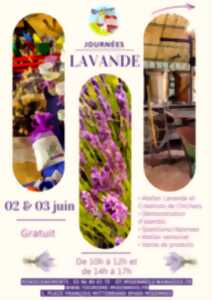 Journées Lavande