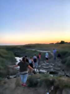 photo La Baie d'Authie, l'Histoire au Naturel