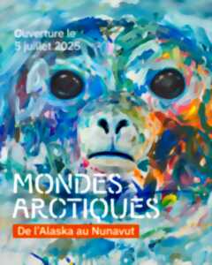 photo Visites Guidées Château Musée - Mondes Artiques