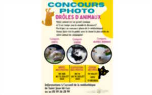 photo Dépôt des photos pour Concours photo: « Les drôles d’animaux »