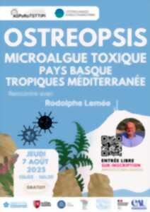 photo Rencontre avec Rodolphe Lemée: Ostreopsis, une microalgue toxique