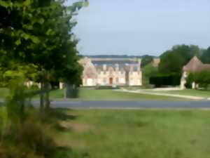 photo Cinéma en plein air au Château de Carel