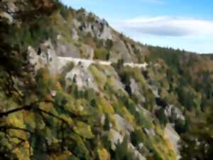 photo Balade découverte des belvédères de la Schlucht