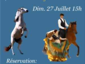 photo Spectacle EquiDanse
