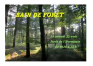 photo Bain de forêt