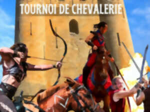 photo TOURNOI DE CHEVALERIE