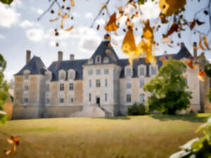 photo Feu d'artifice au Château de Marcilly-sur-Maulne