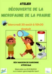 photo Atelier découverte de la microfaune de la prairie