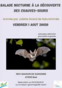 photo Balade nocturne à la découverte des chauves-souris
