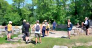 photo Visites guidées du château de Montfaucon