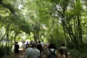 photo ANIMATION NATURE