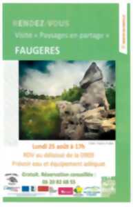 photo RENDEZ-VOUS  - VISITE 