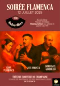 photo Soirée flamenca