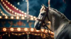 photo Cirque et spectacle équestre